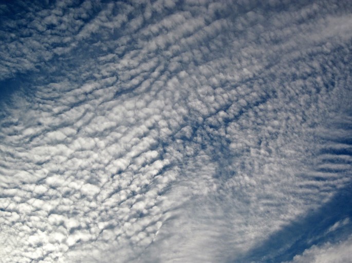 tipos de nubes altocumulos