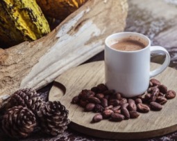 Cacao y cocoa