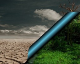 6 causas y 10 consecuencias del cambio climático