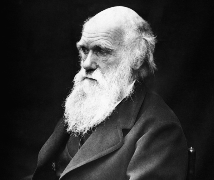 Charles Darwin inteligencia naturalista