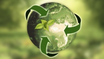 Diferencia entre Desarrollo Sustentable y Sostenible