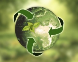 Desarrollo sustentable y sostenible