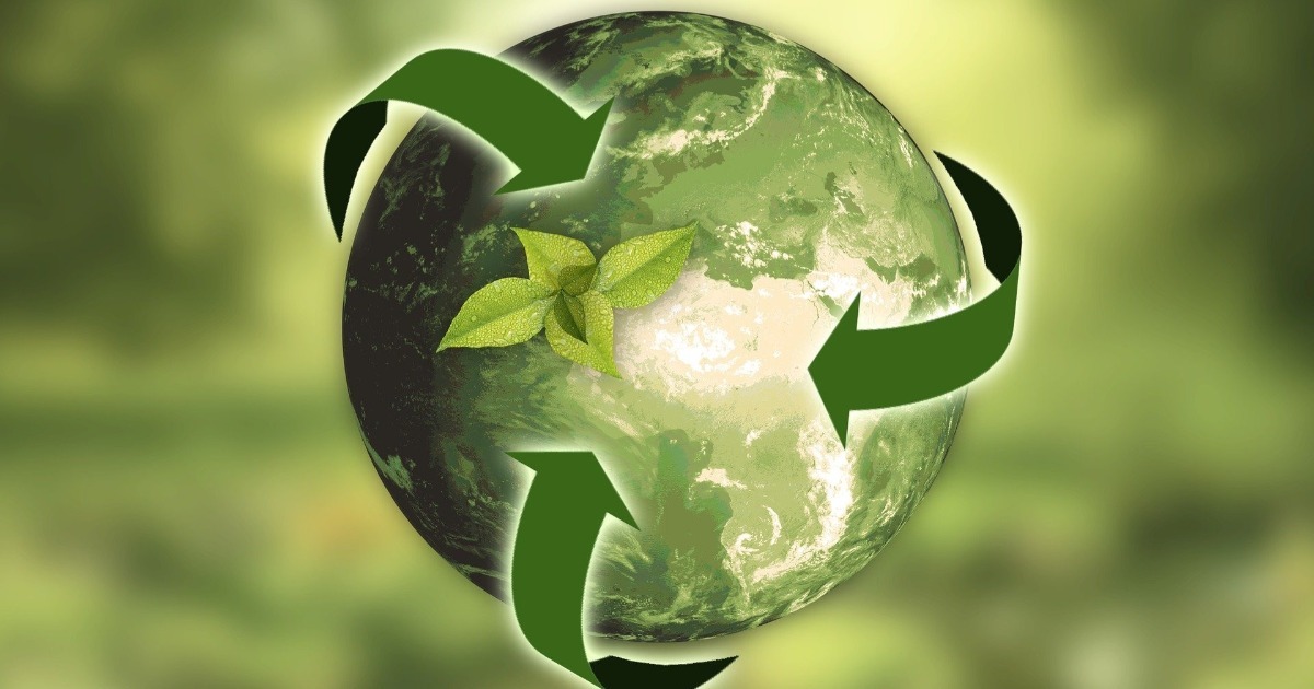 Suri Portero Agacharse Diferencia entre Desarrollo Sustentable y Sostenible - Diferenciador