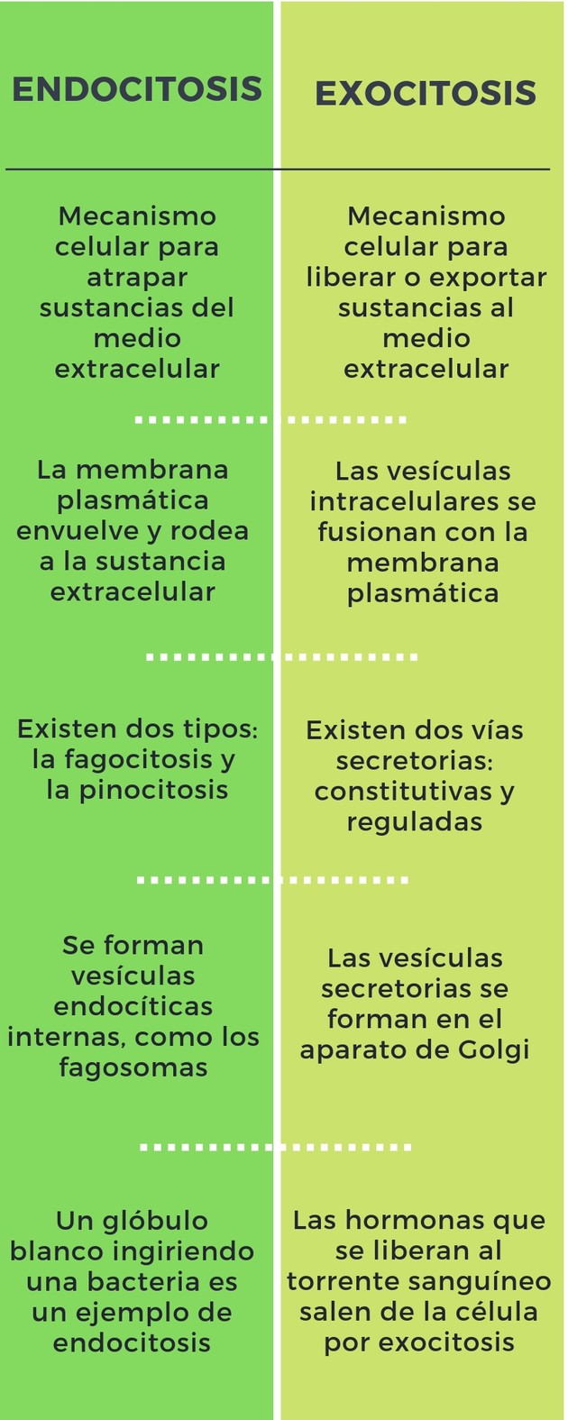 Endocitosis y exocitosis