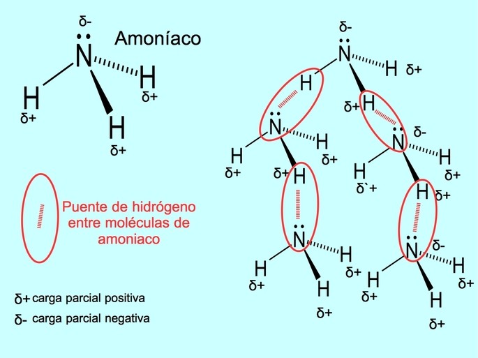 Enlaces de hidrogeno entre moleculas de amoniaco