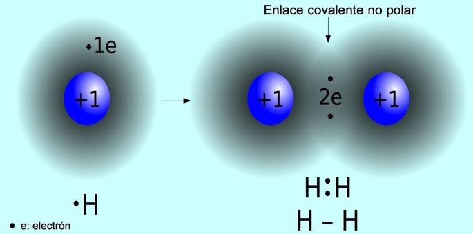 enlace covalente no polar entre dos hidrogenos que comparten un electron