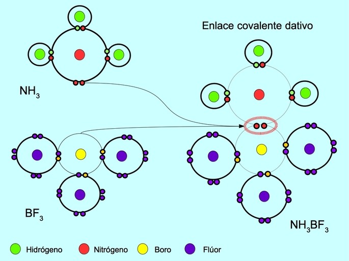 enlace covalente dativo o coordinado entre el nitrogeno y el boro