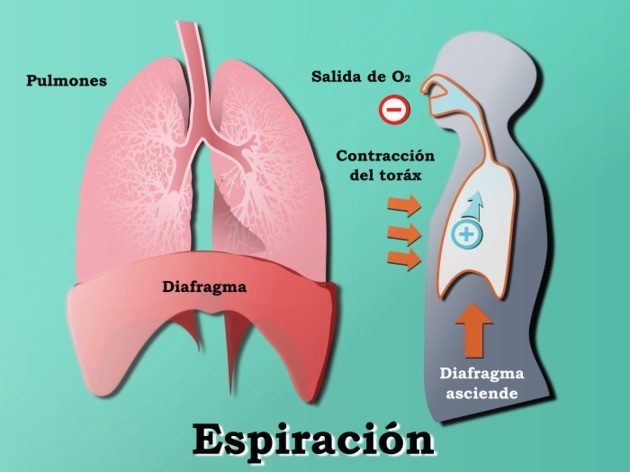 espiración 2