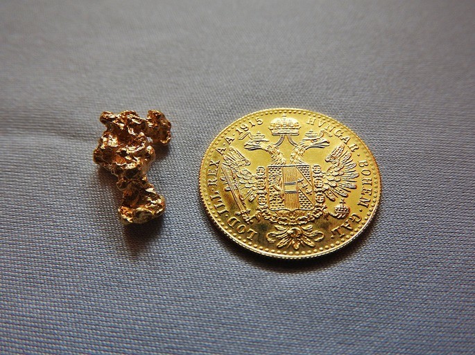 pepita de oro y moneda de oro