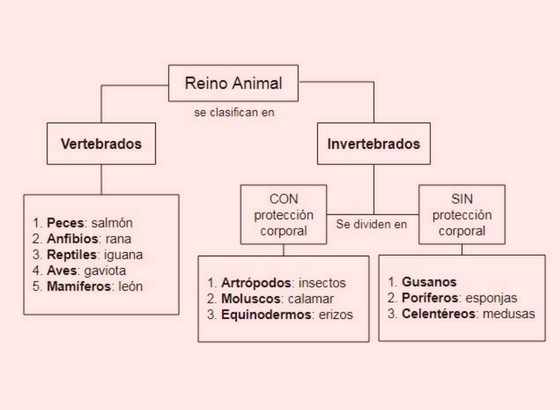 Diferencia Entre Mapa Conceptual Y Mapa Mental Diferenciador