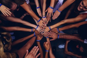 Principios y valores