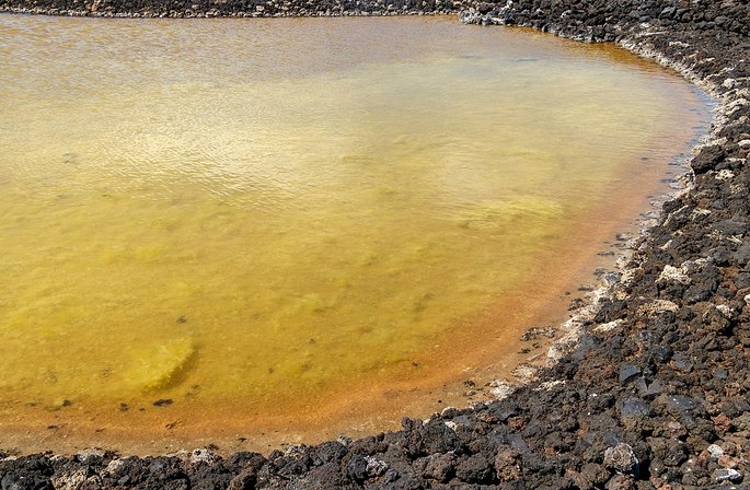 Halobacterium salinarum Salinas de Fuentecaliente