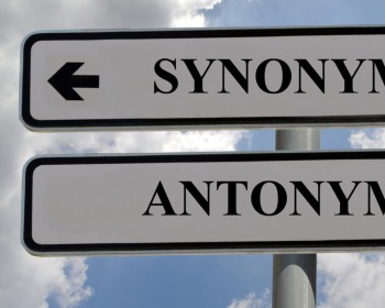 Sinónimos y antónimos