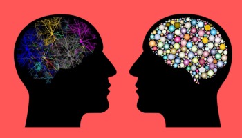 24 tipos de aprendizaje