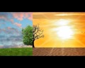 Tipos de clima